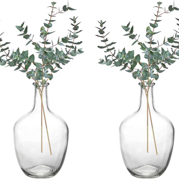 2 Pack Clear Stout Glass Vases, 10 Inch Small Decorative Balloon Jug Vases Single Bud Neck Flower, Handmade Vintage Flower Vase for Tabletop, Centerpiece, Home, Hotel Decoration